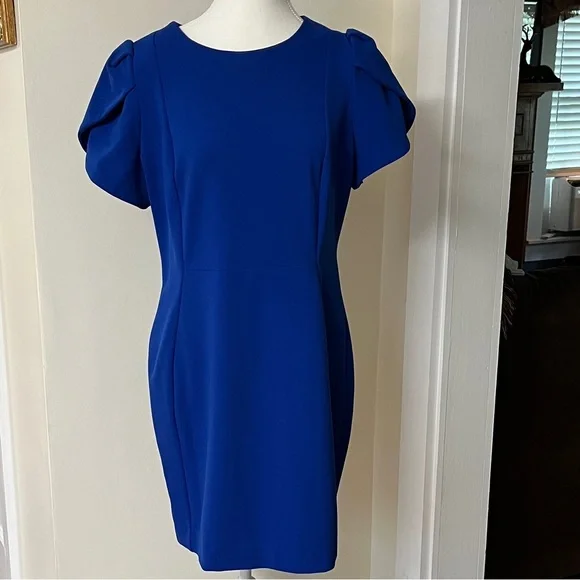 green emerald velvet dress Calvin Klein Women's Shift Dress W/Gold Hardware, Black, 6 at Amazon  Women's Clothing store